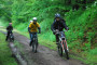 2009-06-11_FROH_FK_179.jpg
