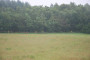 2009-06-11_FROH_FK_188.jpg