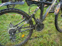 2009-06-11_FROH_FK_260.jpg