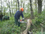 2009-06-11_FROH_HK_004.jpg