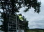 2009-06-11_FROH_HK_097.jpg