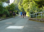 2013-07-14_PaddesTrailRun_012.jpg
