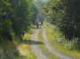 2013-07-14_PaddesTrailRun_049.jpg