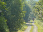 2013-07-14_PaddesTrailRun_053.jpg