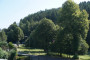 2020-08-16_Ballonstart_15.jpg