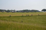 2023-06-08_FRR_FK_104.jpg