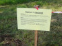 2023-06-08_FRR_MK_032.jpg