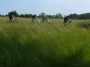 2023-06-08_FRR_MK_033.jpg