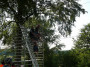 2023-06-08_FRR_MK_035.jpg