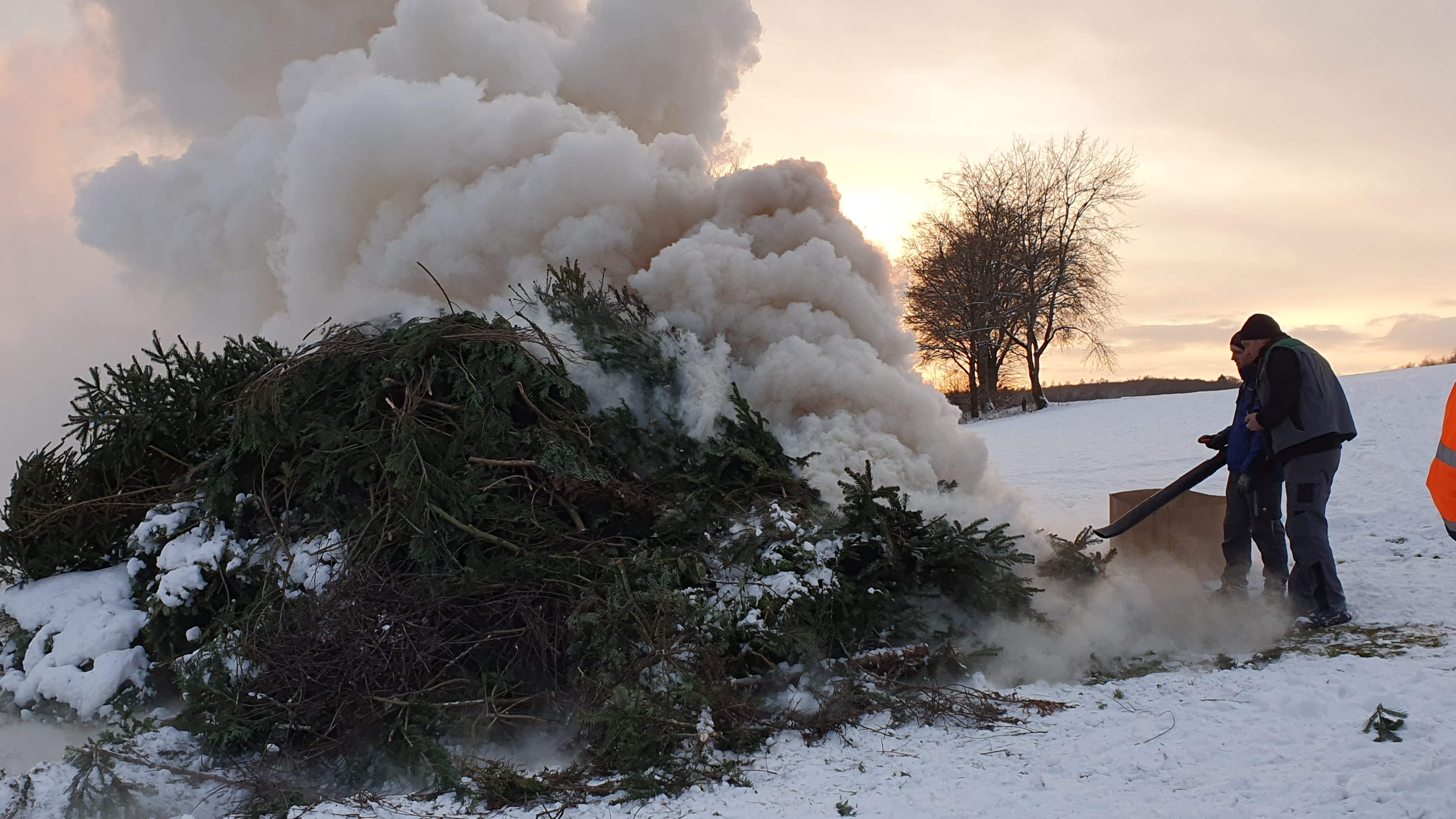 Weihnachtsbaumaktion