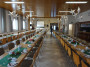 k-DSC02173.JPG