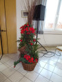 k-DSC02177.JPG