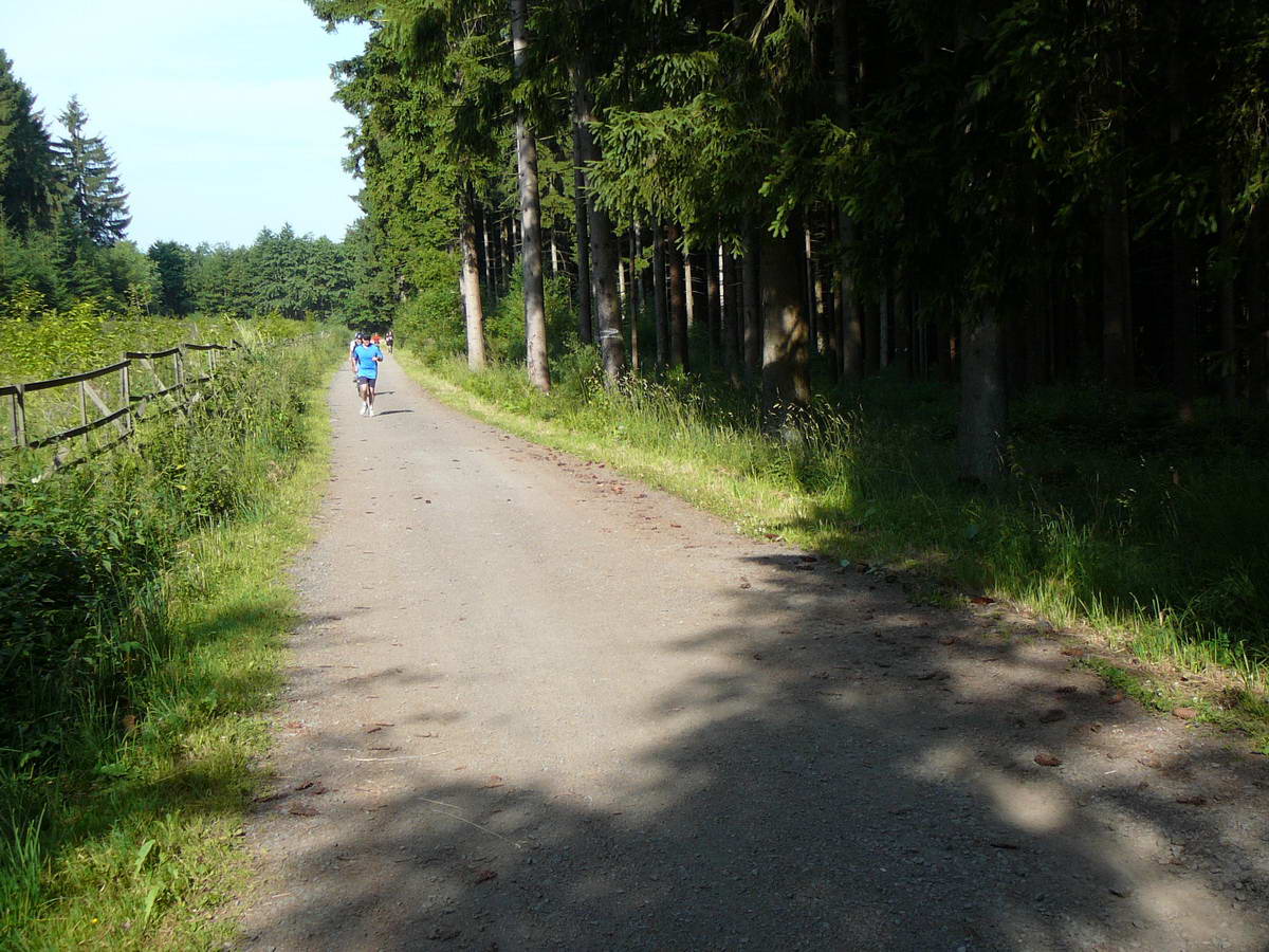 2013-07-14_PaddesTrailRun_056.jpg