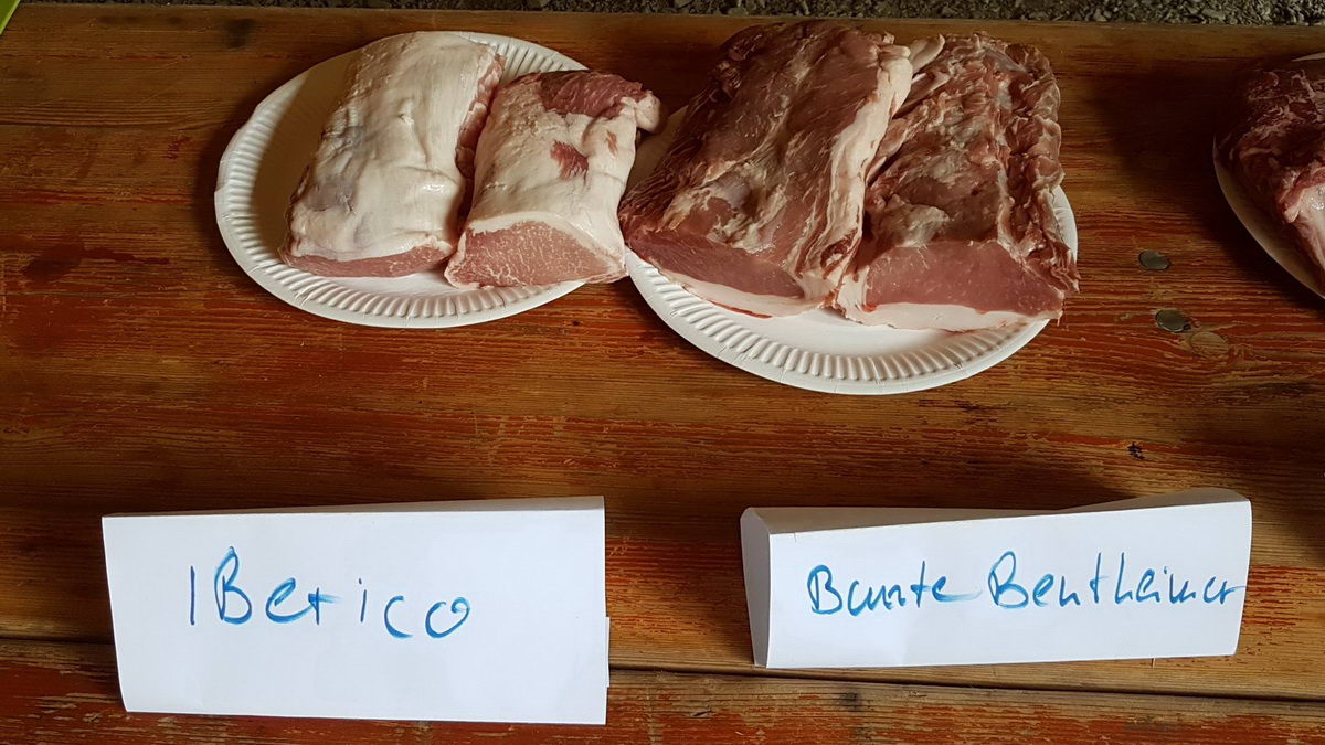 20190712_MTGrillen_01.jpg